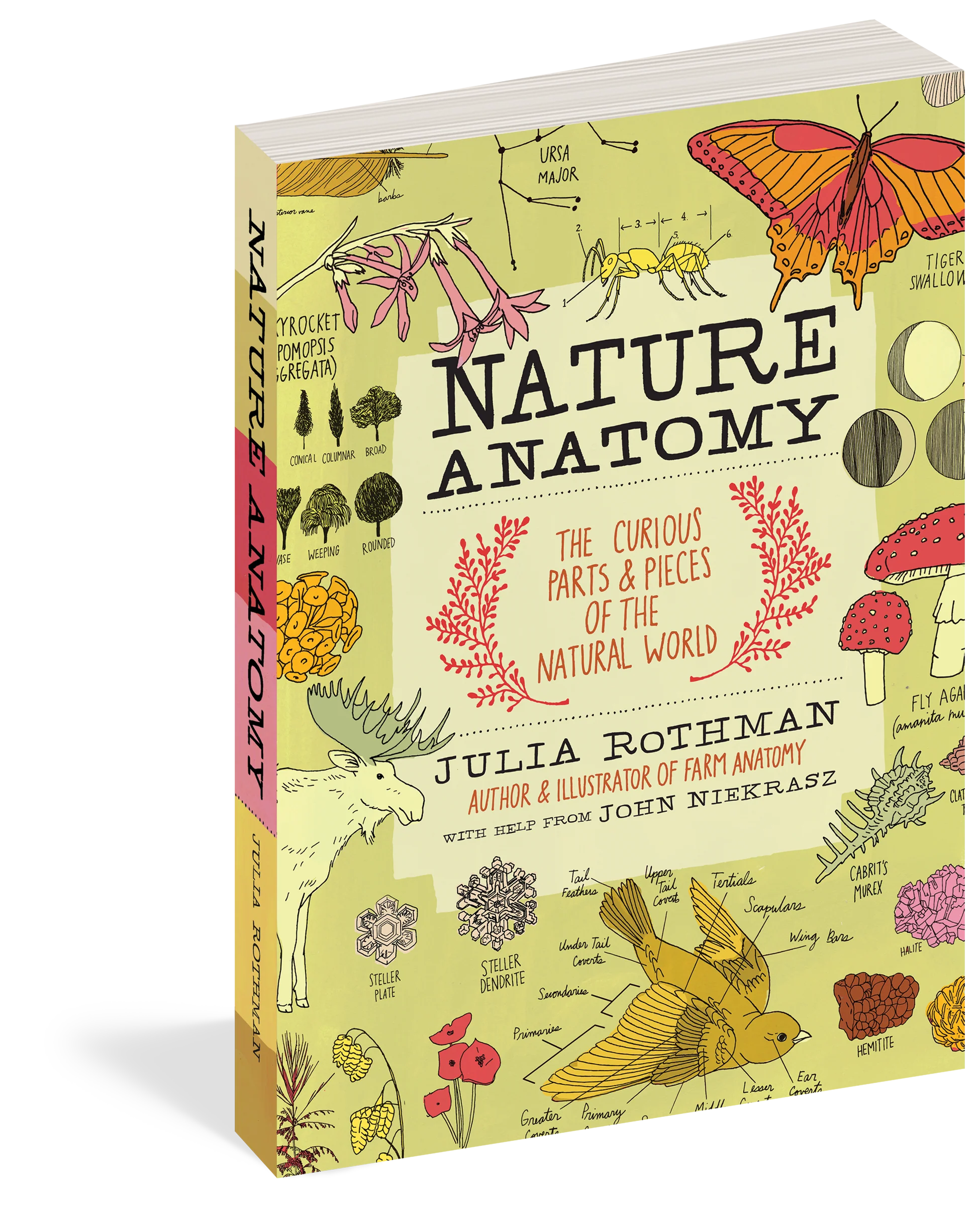 Nature Anatomy - Paperback