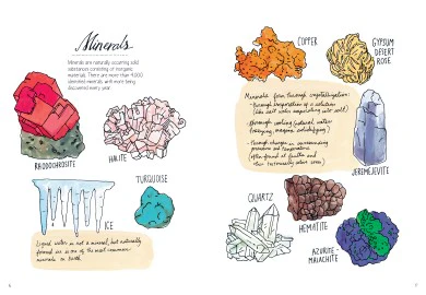 Nature Anatomy - Paperback - Image 2