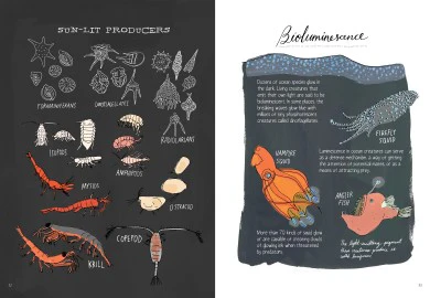 Ocean Anatomy - Paperback - Image 2