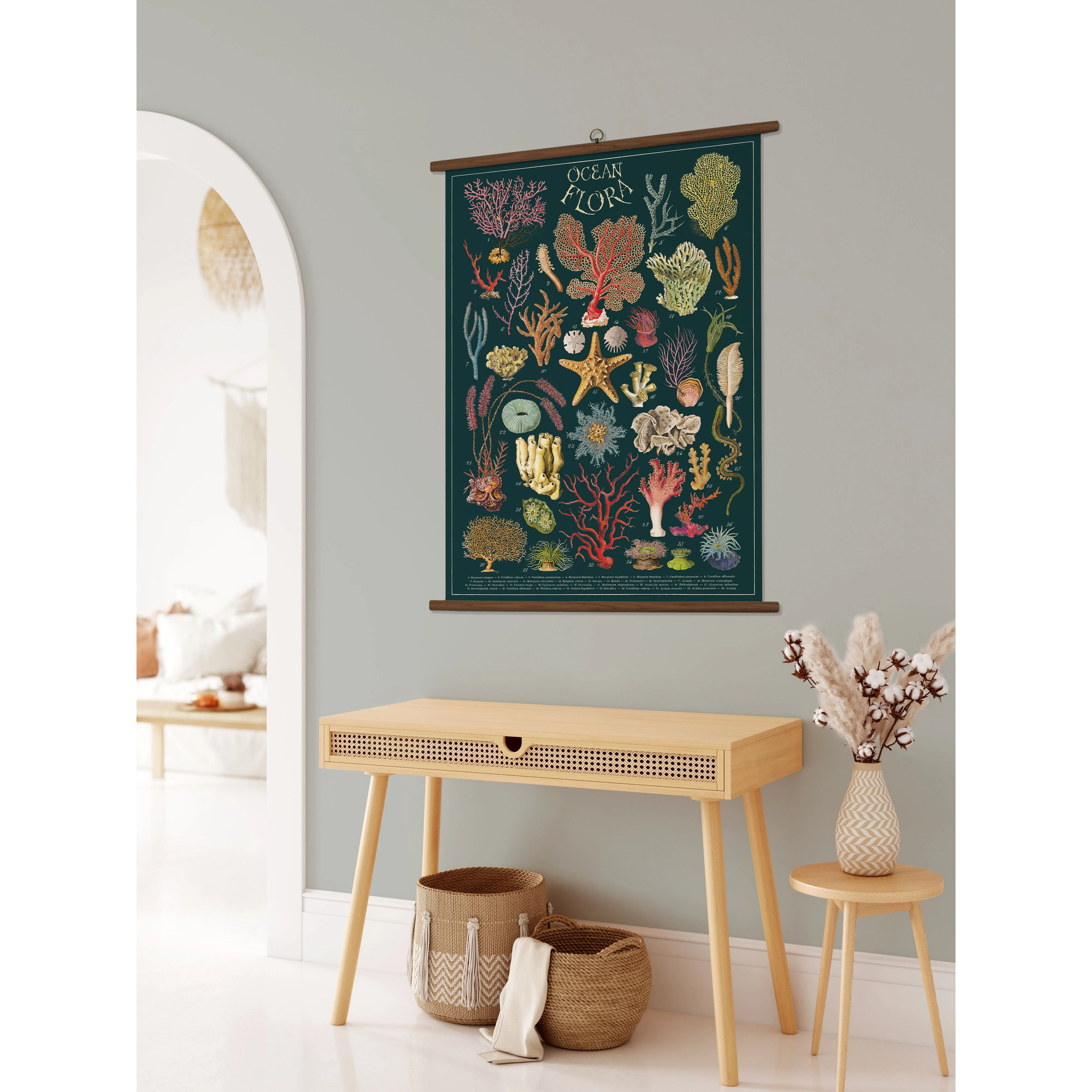Cavallini & Co. Vintage School Chart - Ocean Flora - Image 2