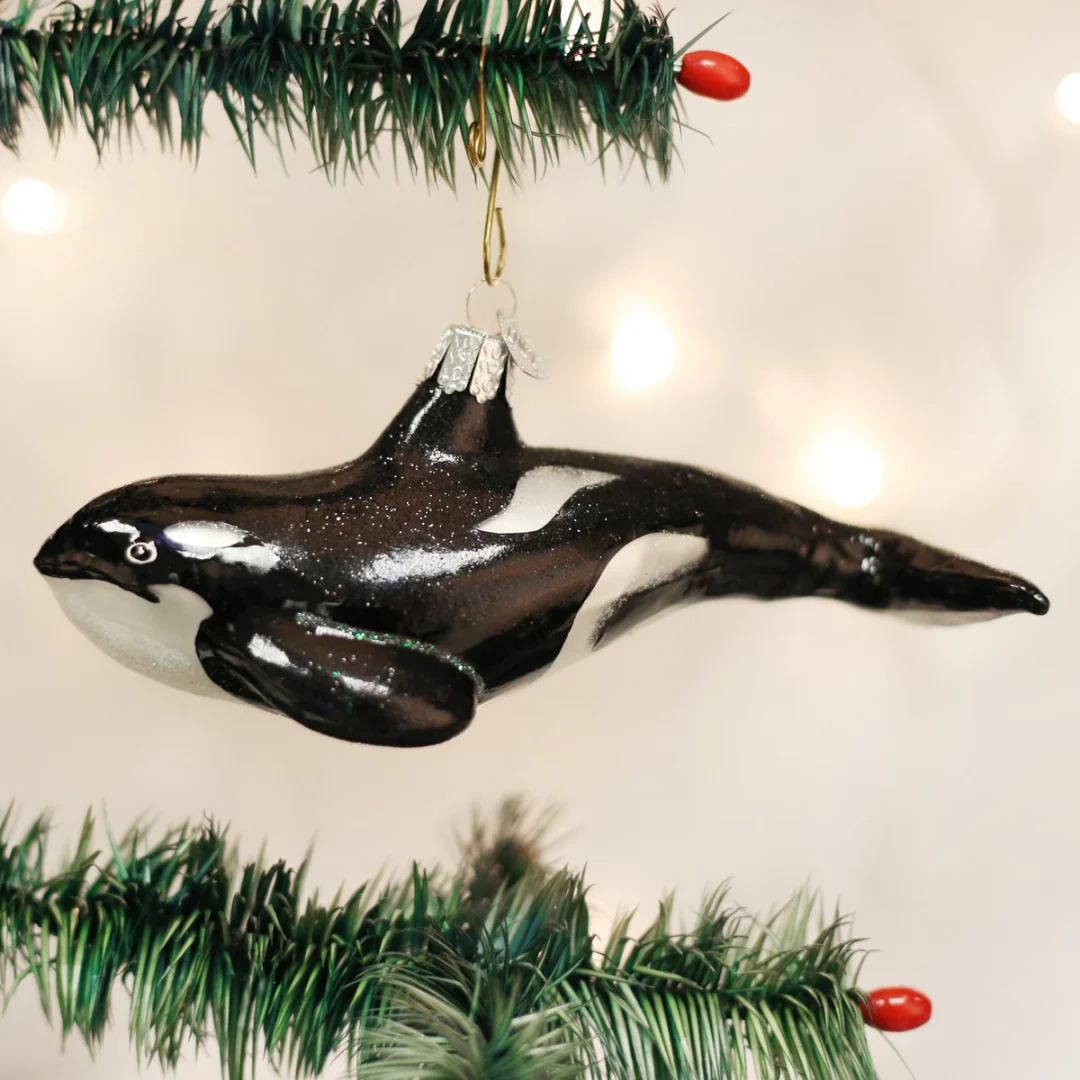 Orca Whale