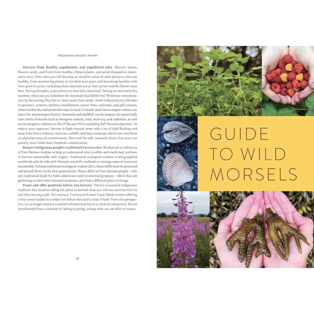 Pacific Harvest: A Northwest Coast Foraging Guide - Image 2