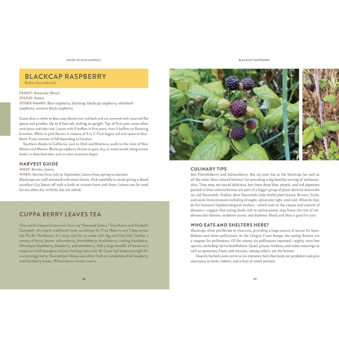 Pacific Harvest: A Northwest Coast Foraging Guide - Image 3
