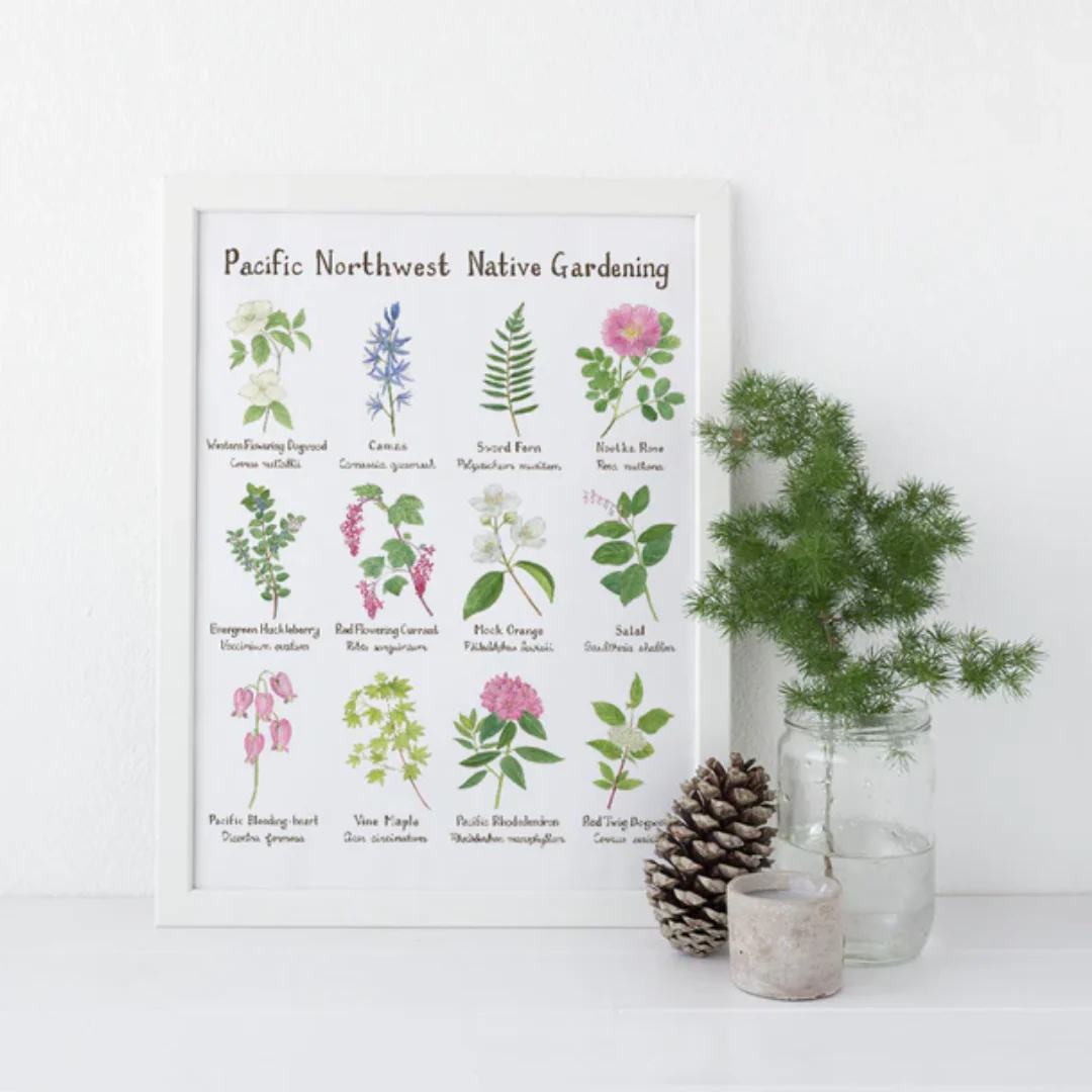Pacific Northwest Native Gardening 11"x14" Art Print