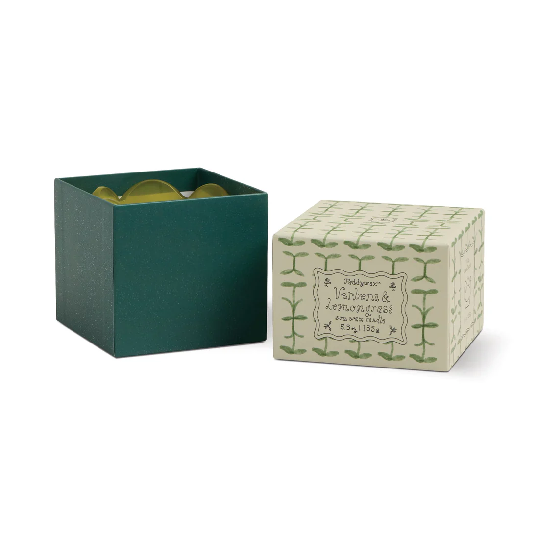 Paddywax Tulip 5.5oz Candle - Verbena Lemongrass - Image 3