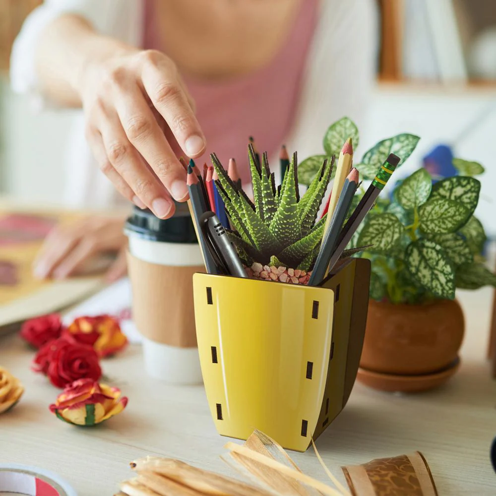 Pop Plants - Aloe Pencil Holder - Image 2