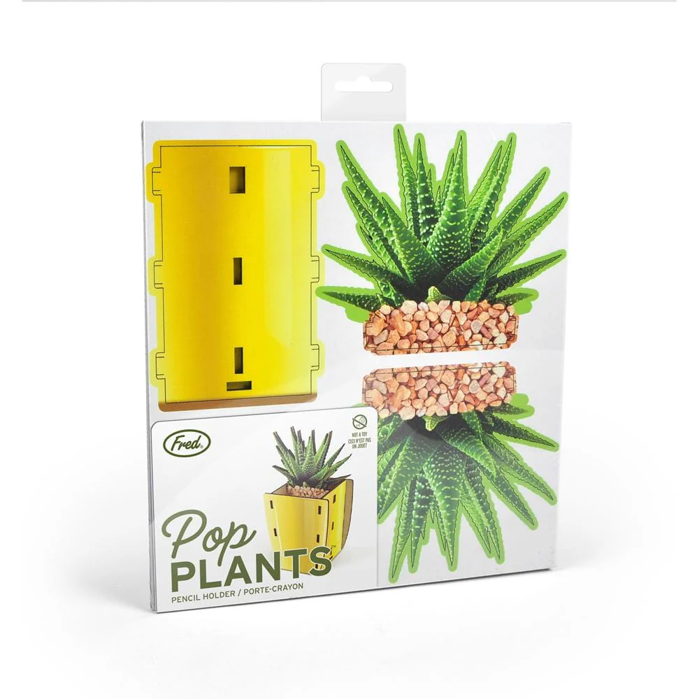 Pop Plants - Aloe Pencil Holder - Image 3