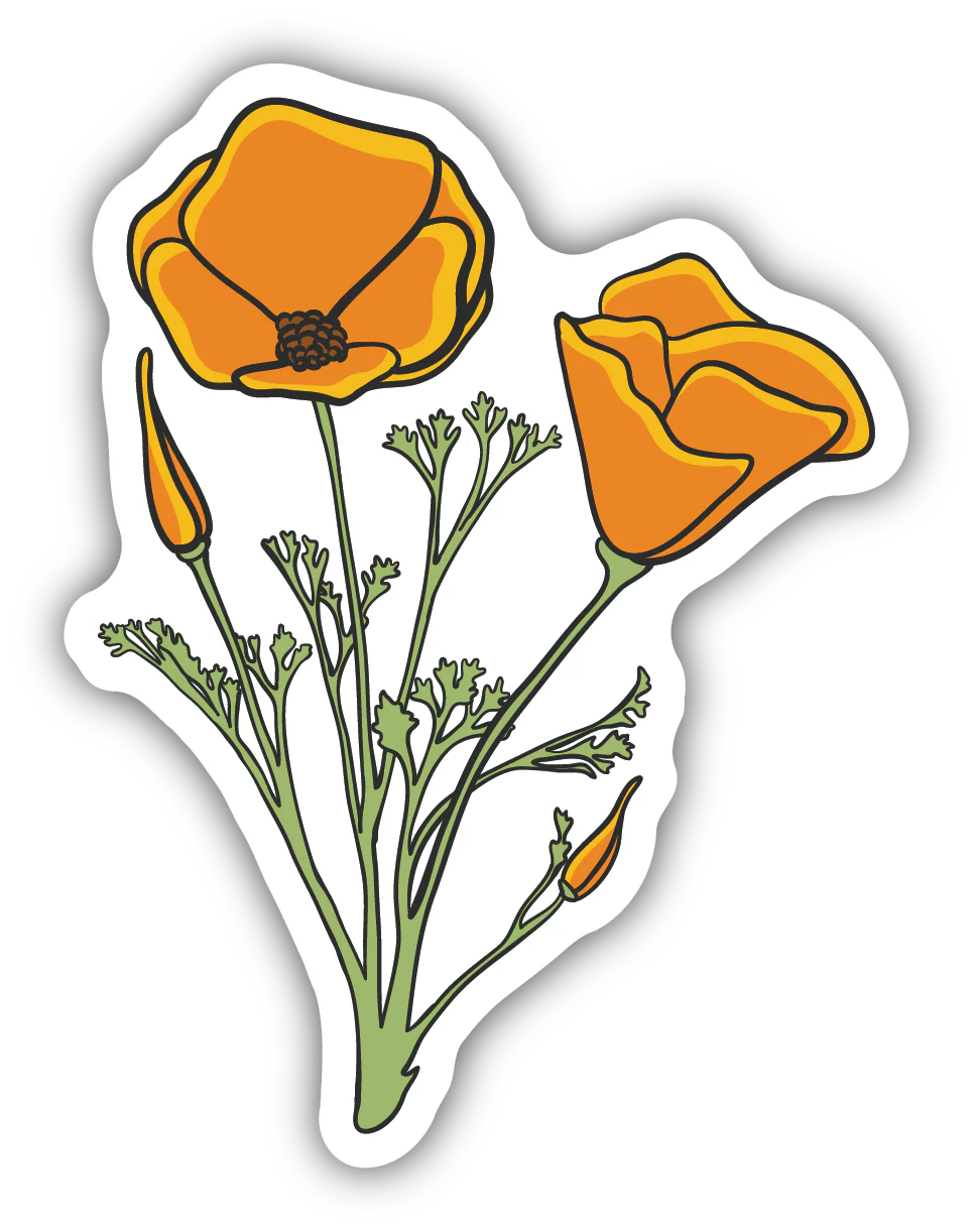 Poppy Sketch Sticker