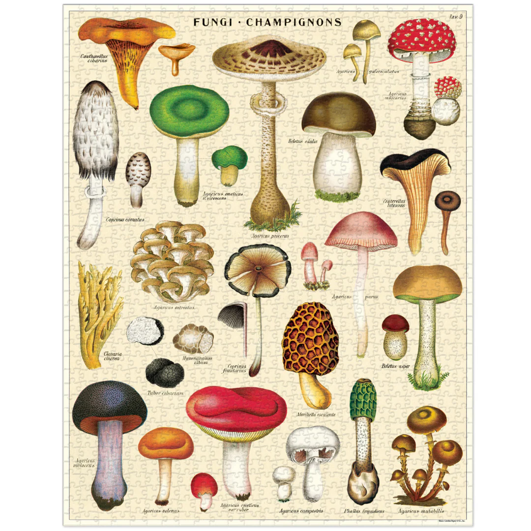 Cavallini & Co. 1000 Piece Puzzle - Mushroom - Image 3