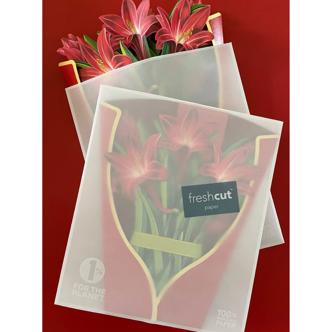 Red Amaryllis Fresh Cut Paper Card - Image 3