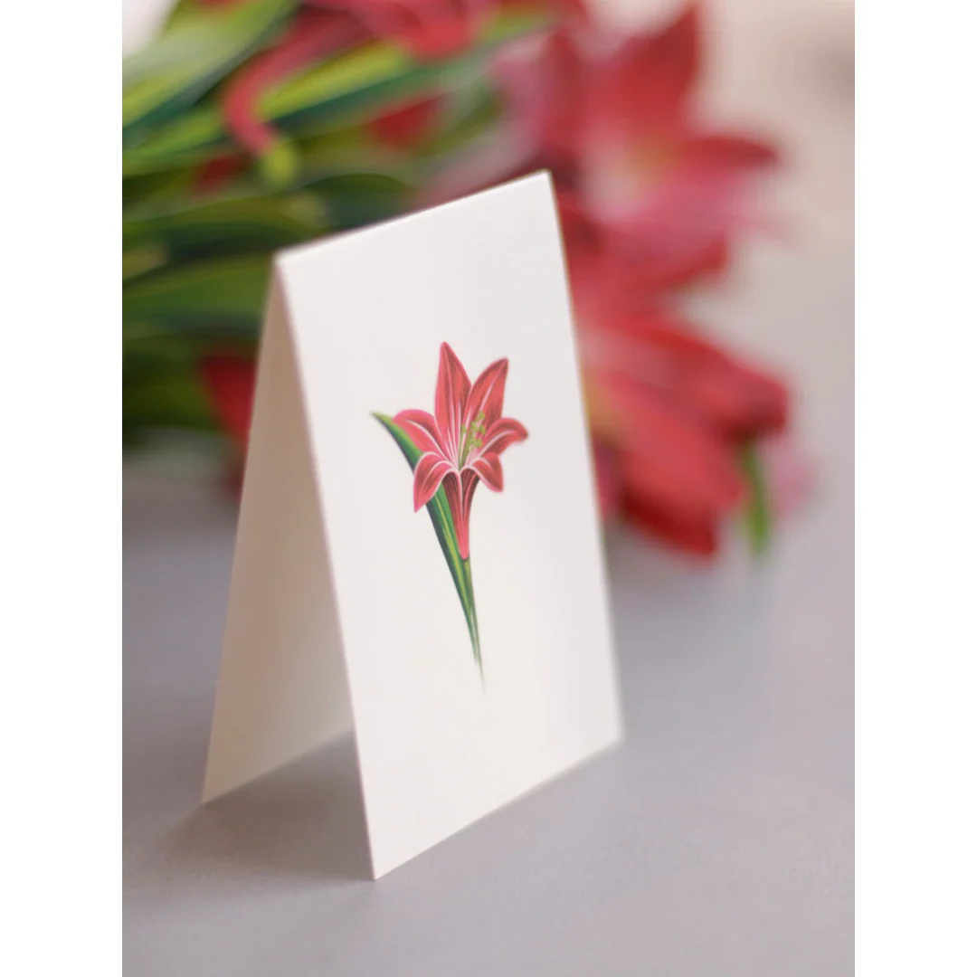 Red Amaryllis Fresh Cut Paper Card - Image 4