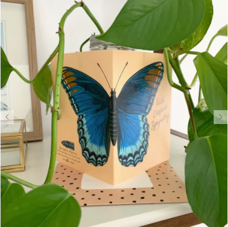 Red Spotted Purple Sympathy Card - Image 3