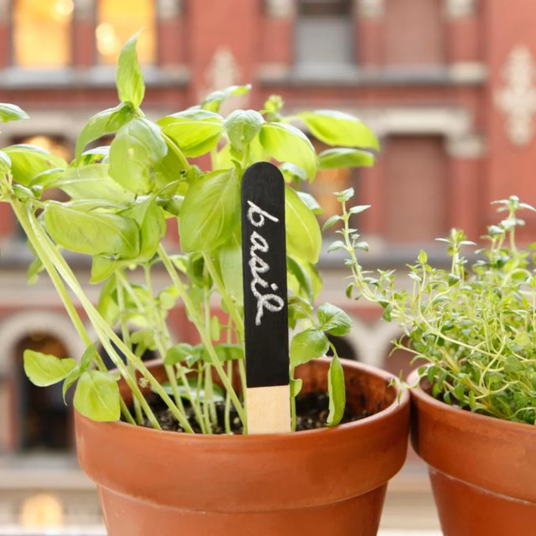 Reusable Garden Markers - Image 3