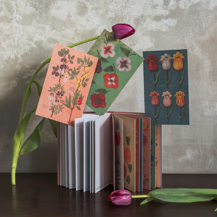Roomytown Postcard Book - Festival of Flowers - Image 4
