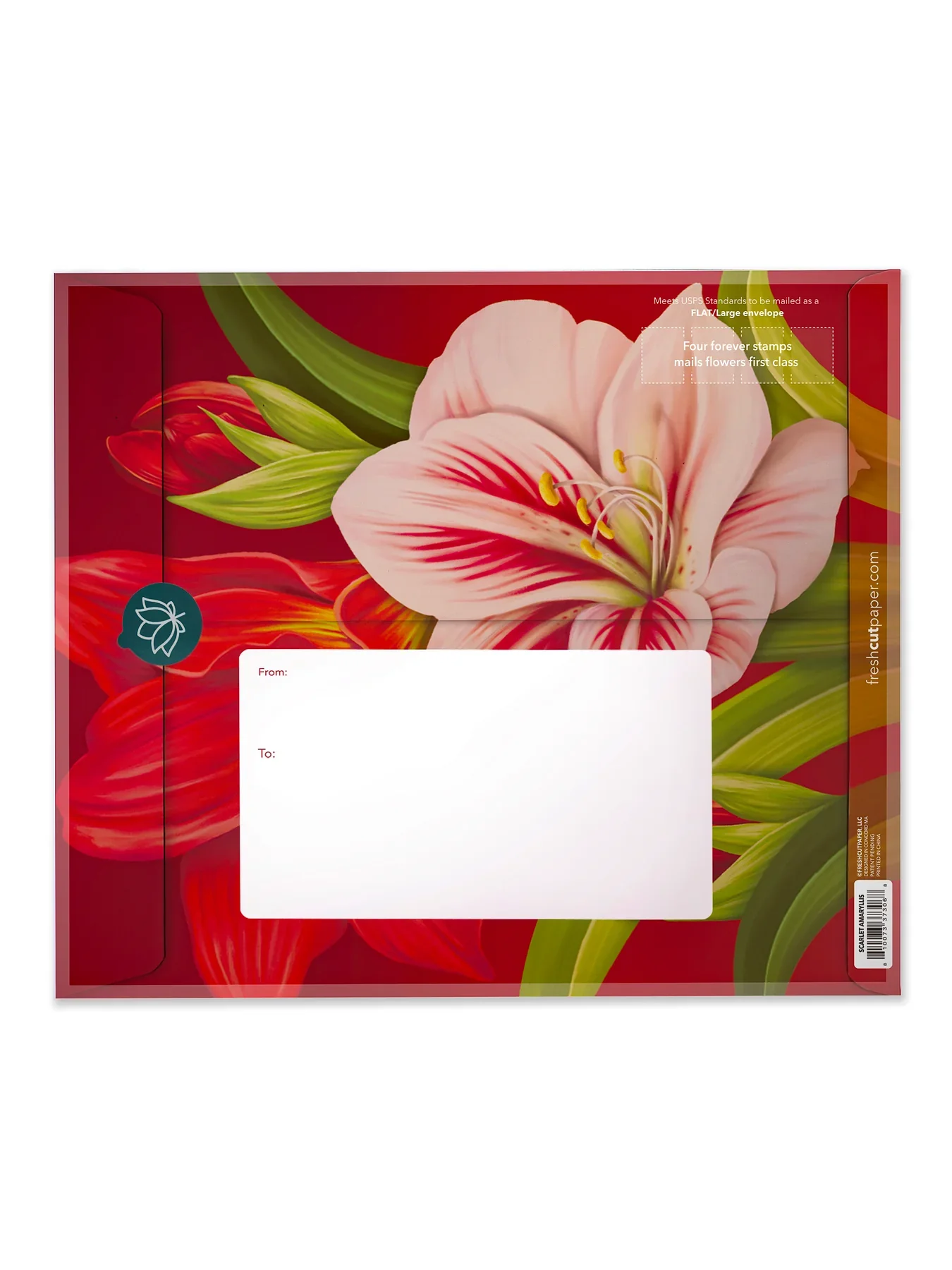 Scarlet Amaryllis FreshCut Paper Card - Image 4