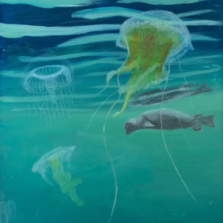 Seal and Jellyfish #1 Print 8"x10"