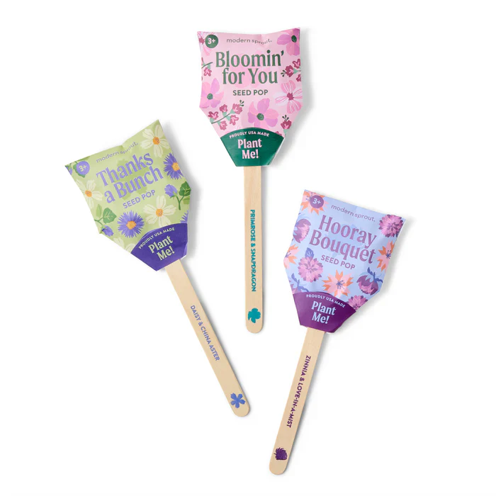 Seed Lollipop - Flower