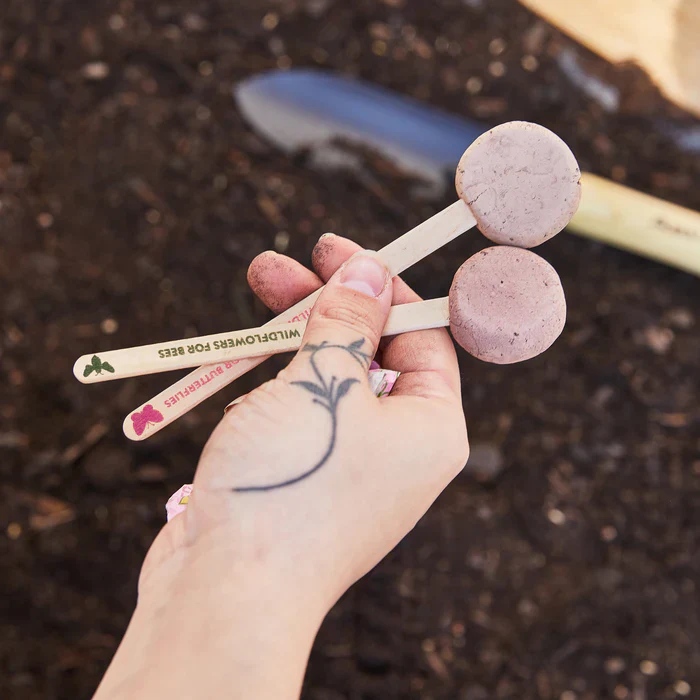 Seed Lollipop - Flower - Image 2