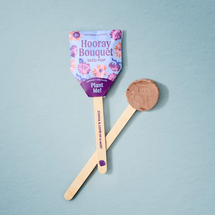 Seed Lollipop - Flower - Image 4