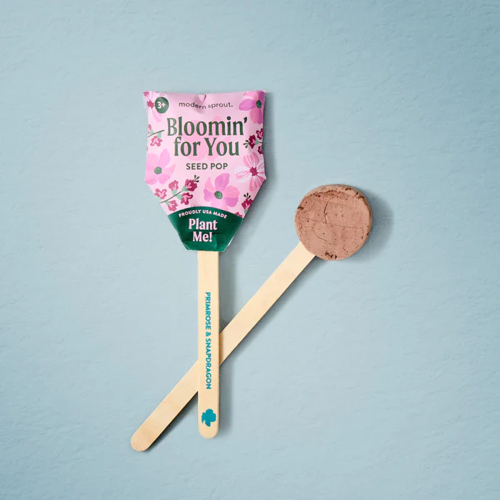 Seed Lollipop - Flower - Image 5