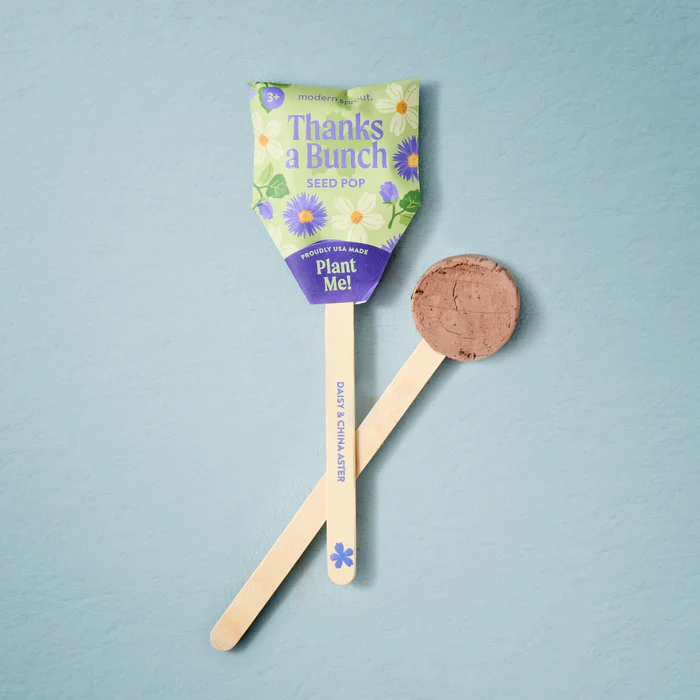 Seed Lollipop - Flower - Image 6