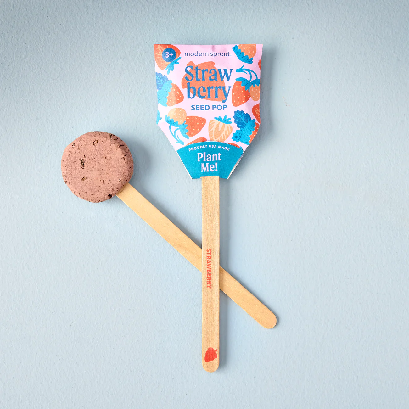 Seed Lollipop - Garden - Image 2
