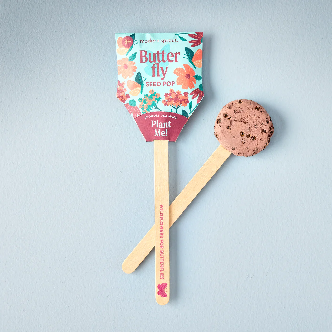 Seed Lollipop - Pollinator - Image 3