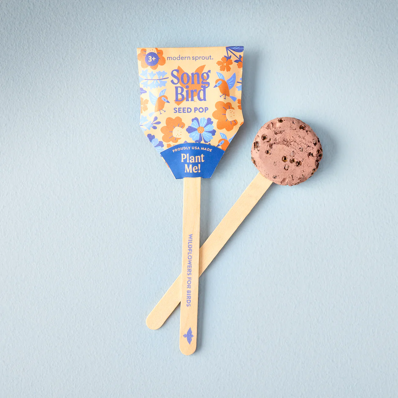 Seed Lollipop - Pollinator - Image 4