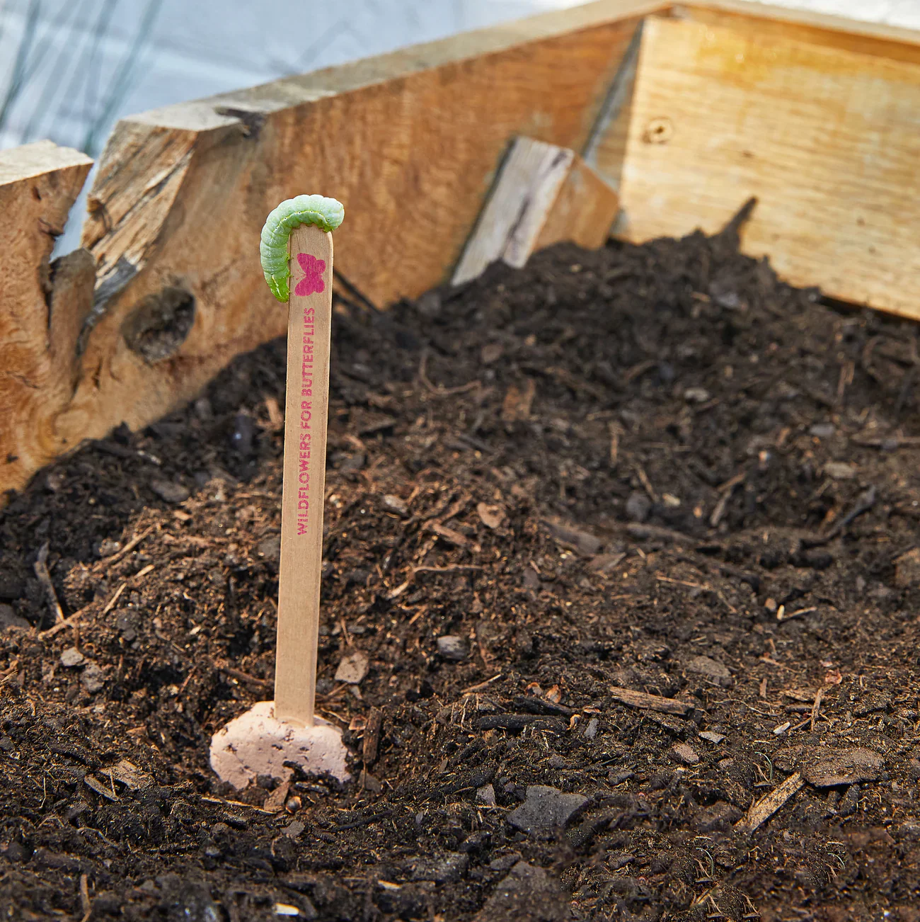 Seed Lollipop - Pollinator - Image 5