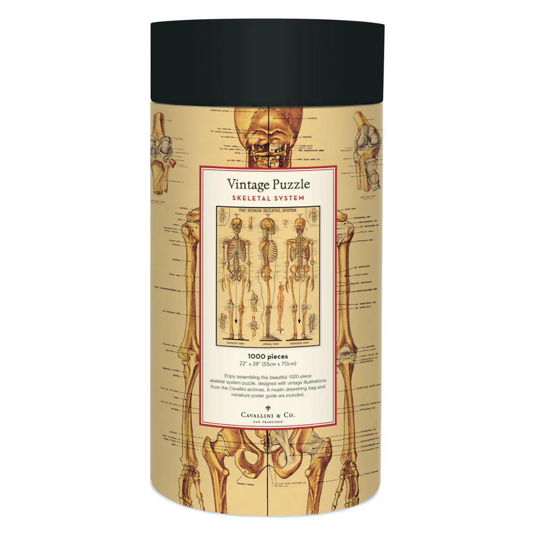 Cavallini & Co. 1000 Piece Puzzle - Skeletal System - Image 3