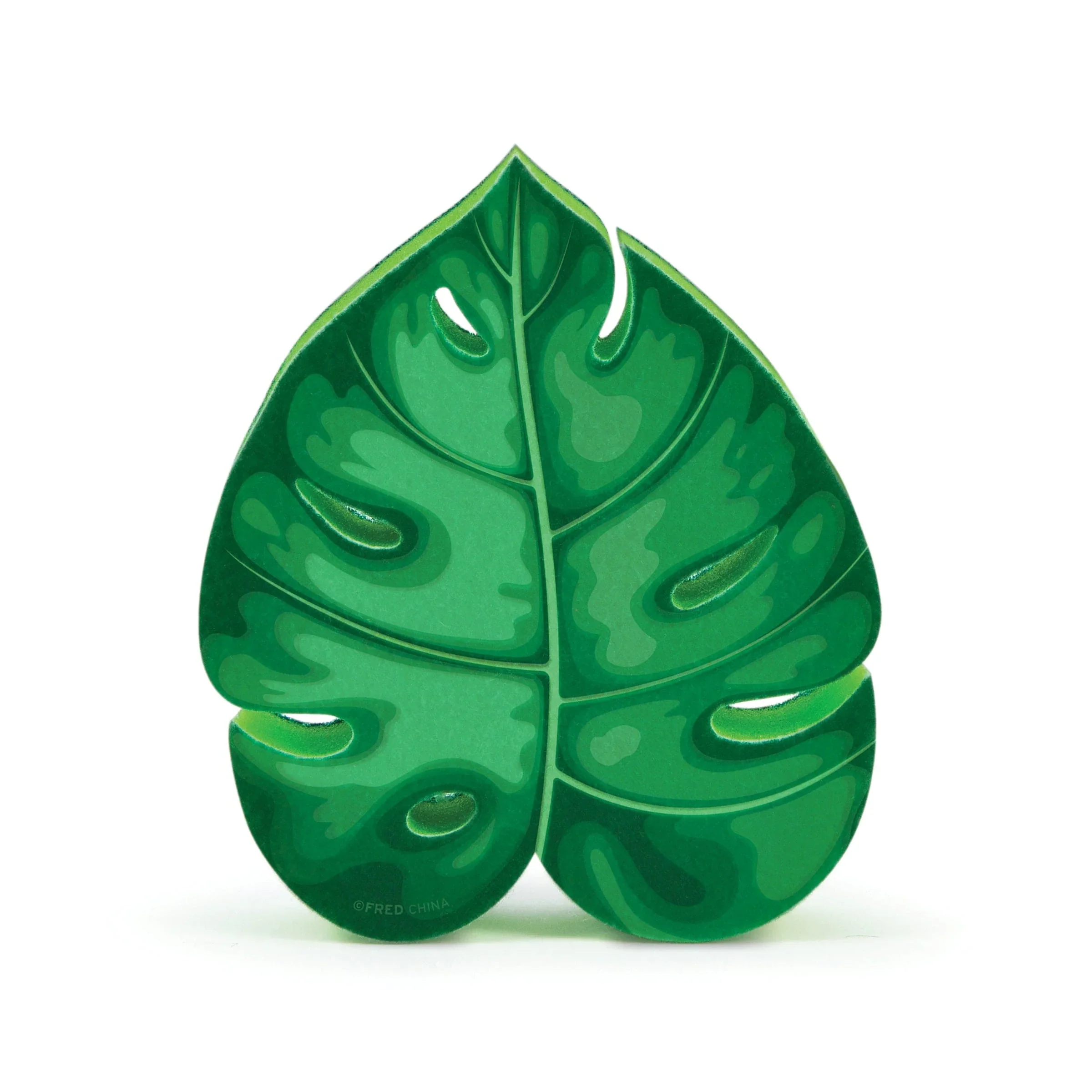Sponges - House Plant - Image 2