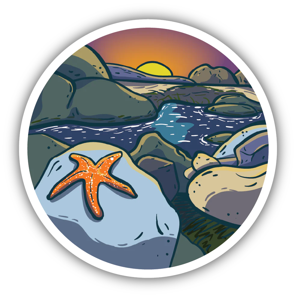 Starfish Scene Sticker