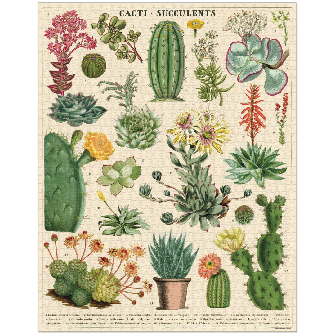 Cavallini & Co. 1000 Piece Puzzle - Succulents - Image 2