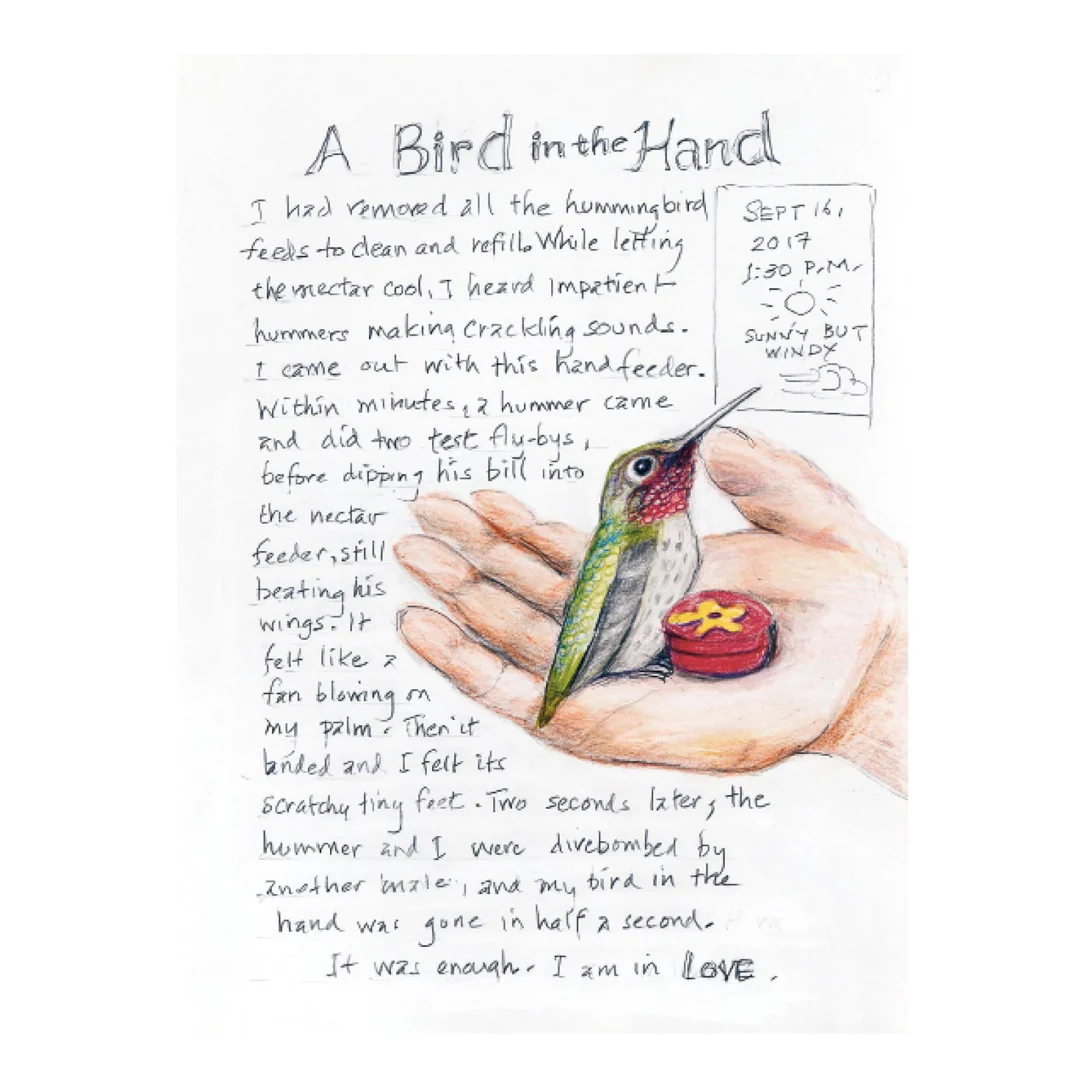 The Backyard Birds Chronicle - Image 2