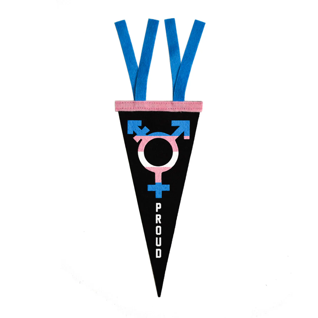 Trans Proud Mini Pennant