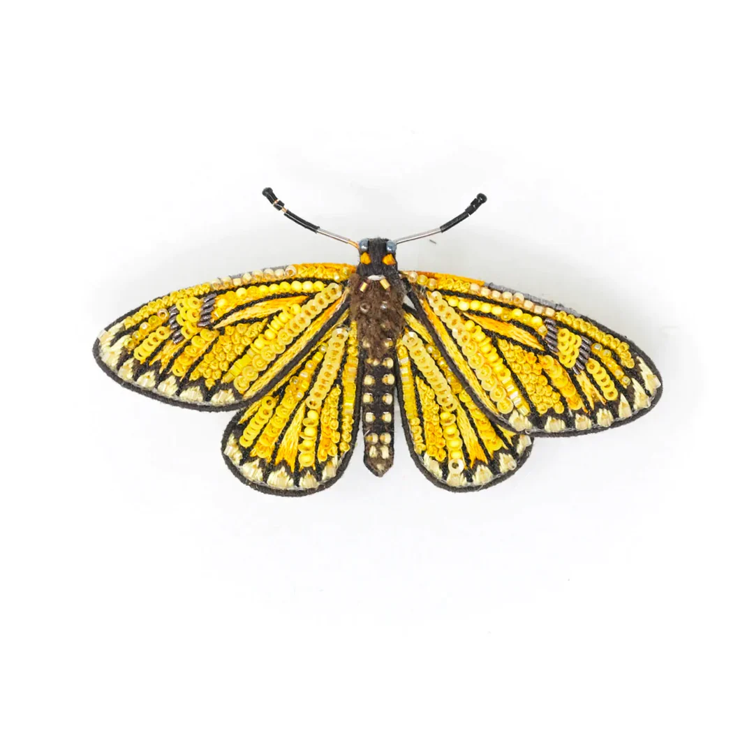 Trovelore Brooch Pin - Yellow Coster Butterfly