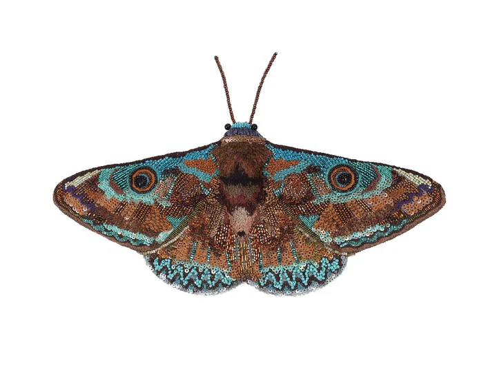 Trovelore Objet d'Art with Display Stand - Donuca Moth - Image 2