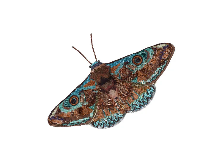 Trovelore Objet d'Art with Display Stand - Donuca Moth - Image 3