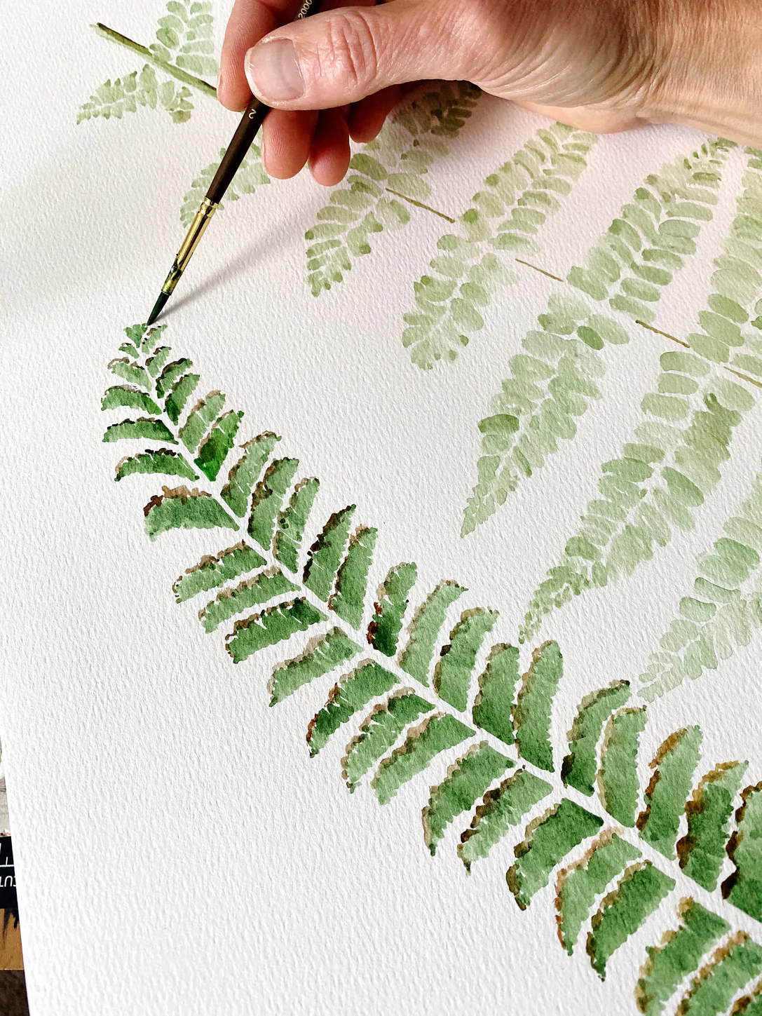 Turn of the Centuries - Ferns Watercolor Thank You Greeting Card - Image 6