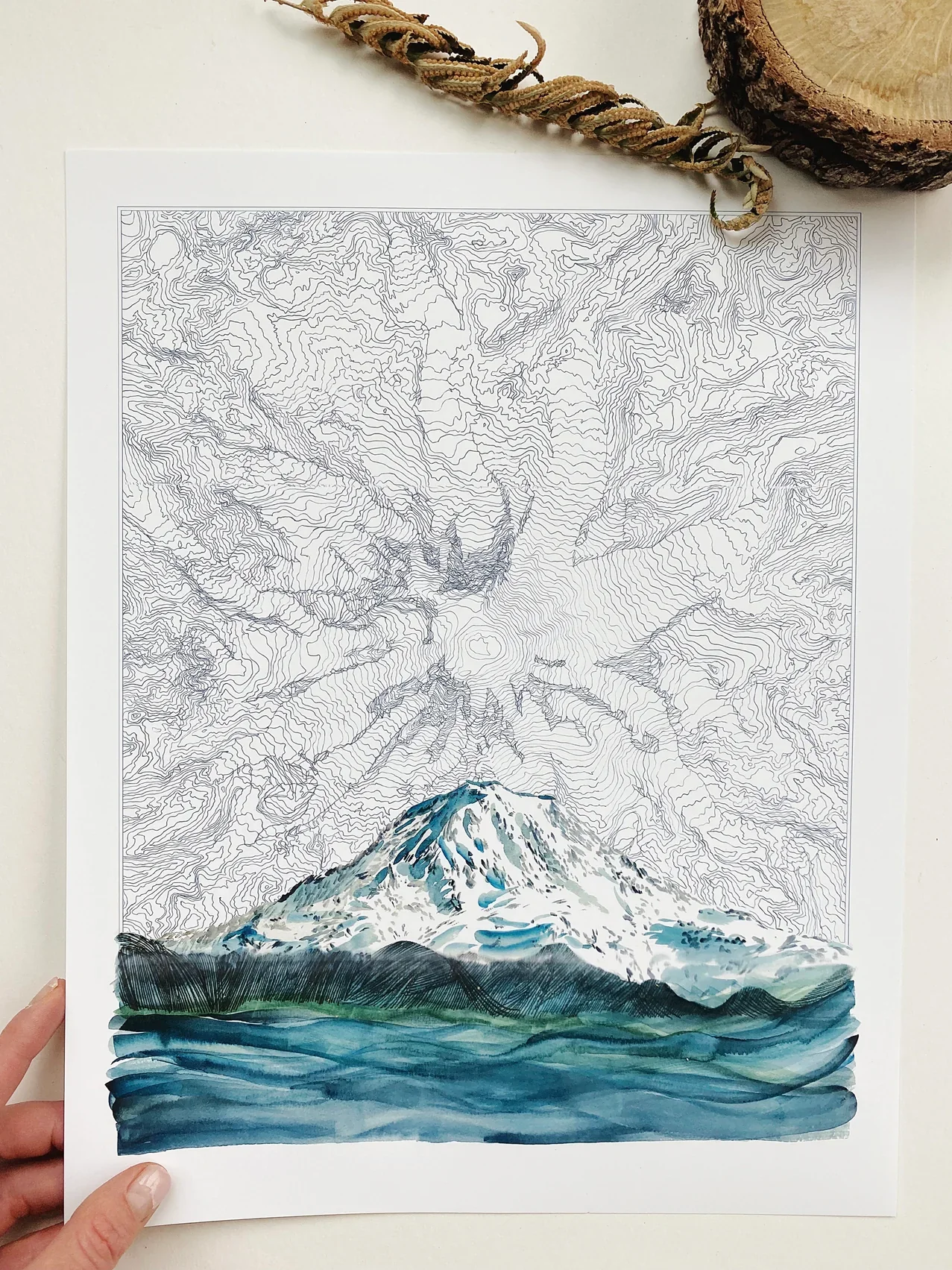 Turn of the Centuries - TAHOMA Mount Rainier Washington Topographical Map Drawing + Mountain Print - Image 3