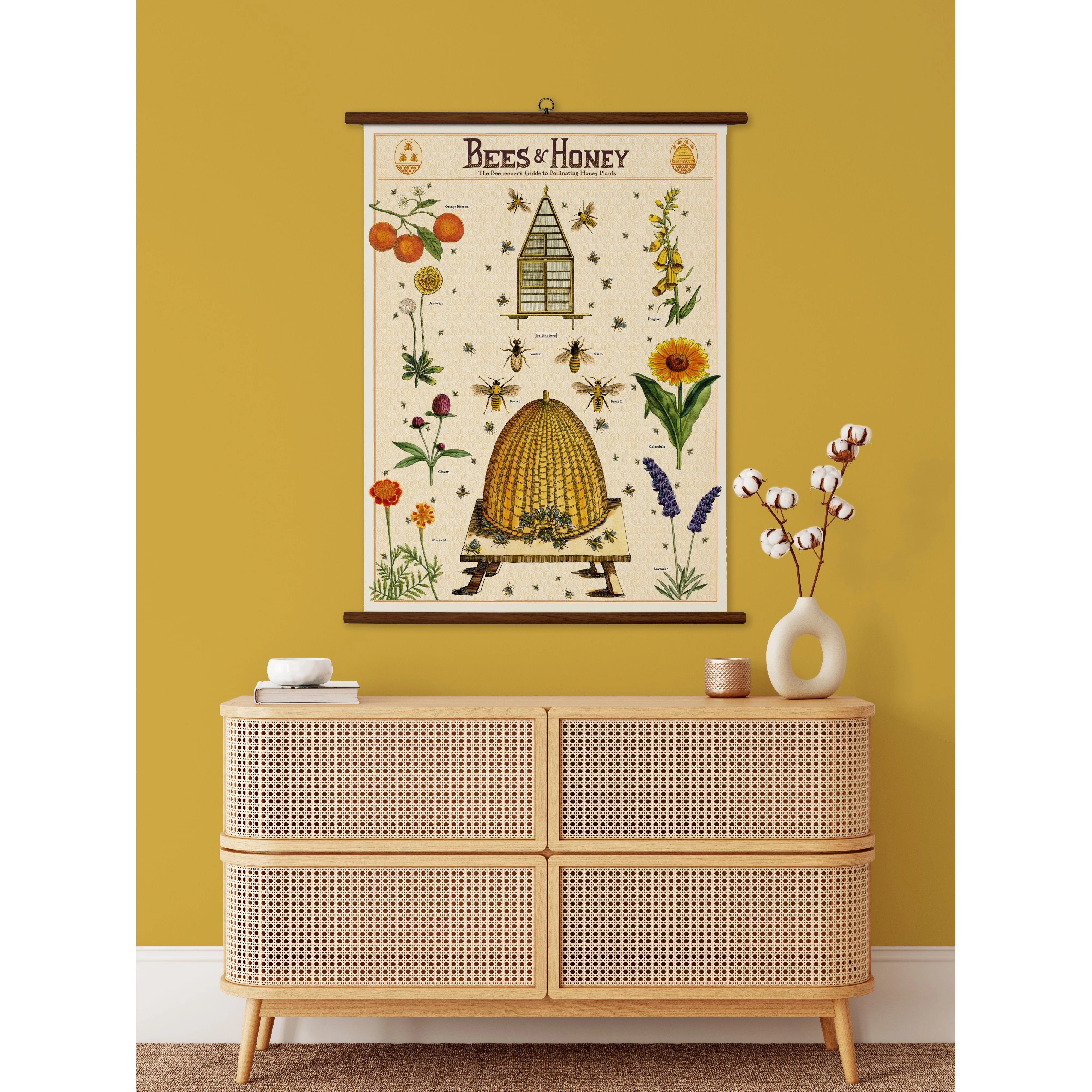 Cavallini & Co. Vintage School Chart - Bees & Honey - Image 2