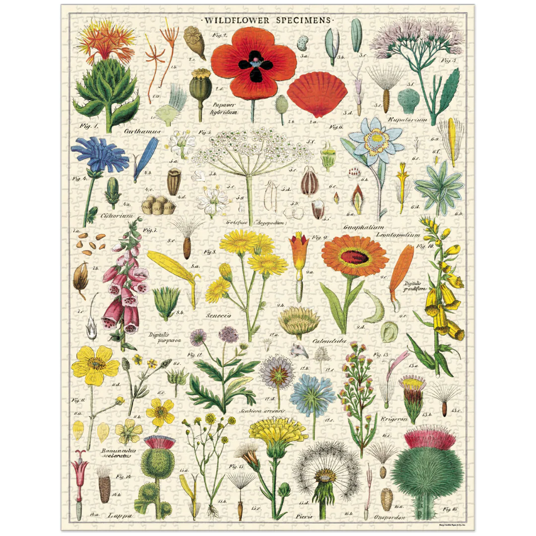 Cavallini & Co. 1000 Piece Puzzle - Wildflowers - Image 2