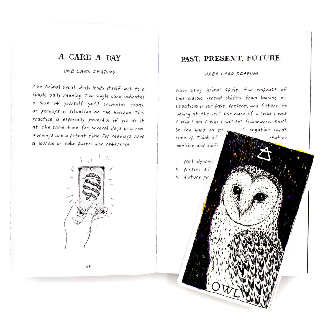 Wild Unknown Animal Spirit Card Deck and Guidebook - Image 6